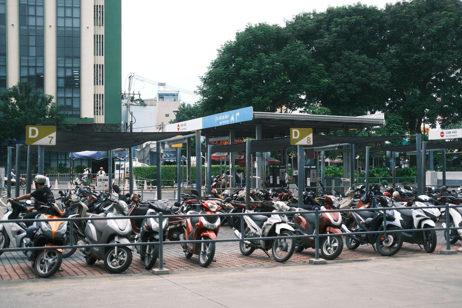 Rows of motorbikes in an outdoor parking area